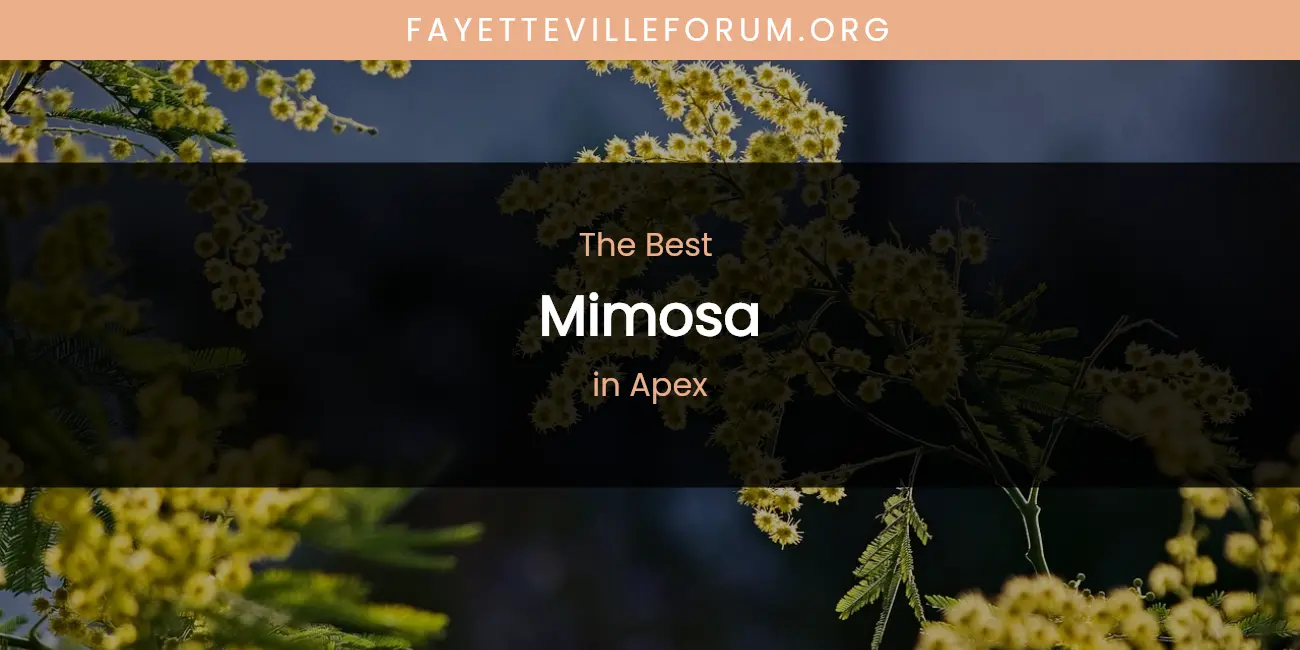 The Absolute Best Mimosa in Apex featured