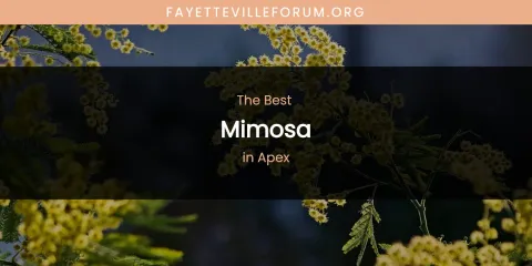 The Absolute Best Mimosa in Apex