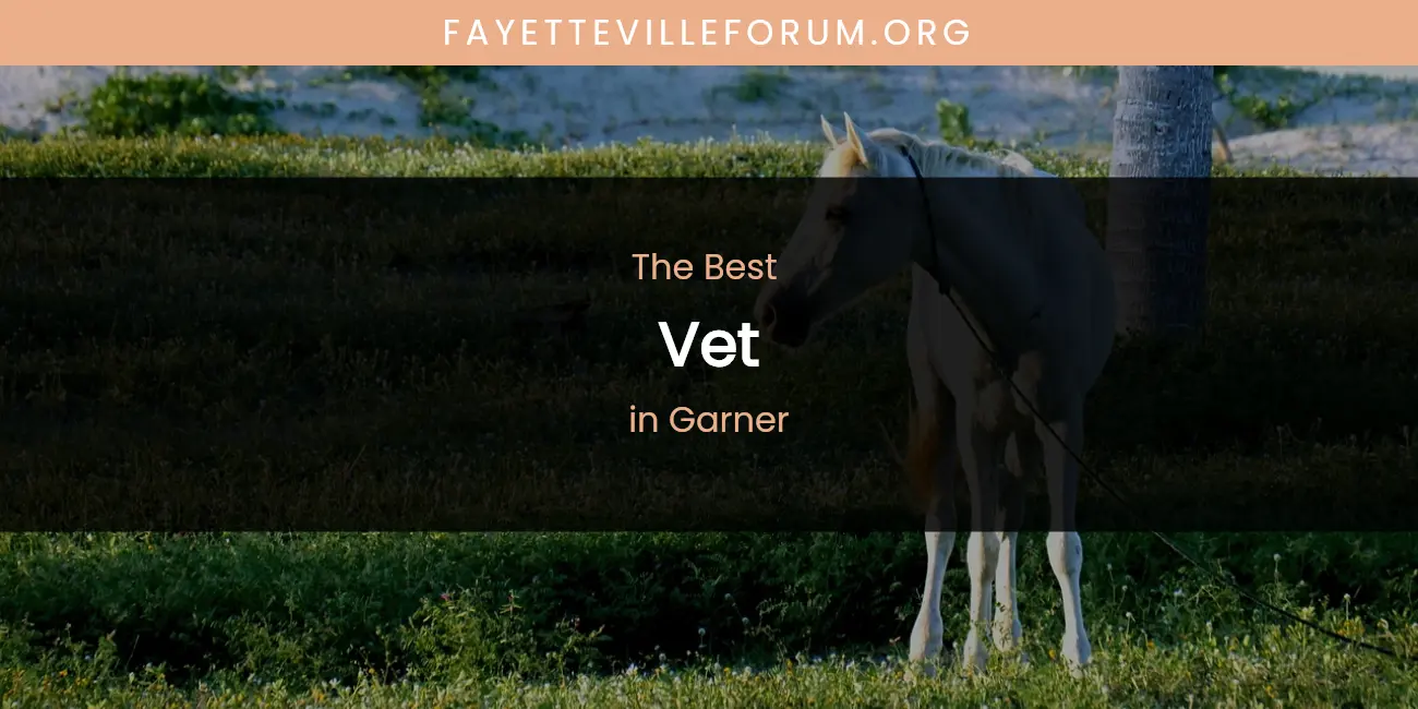 The Absolute Best Vet in Garner featured