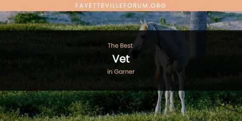 The Absolute Best Vet in Garner
